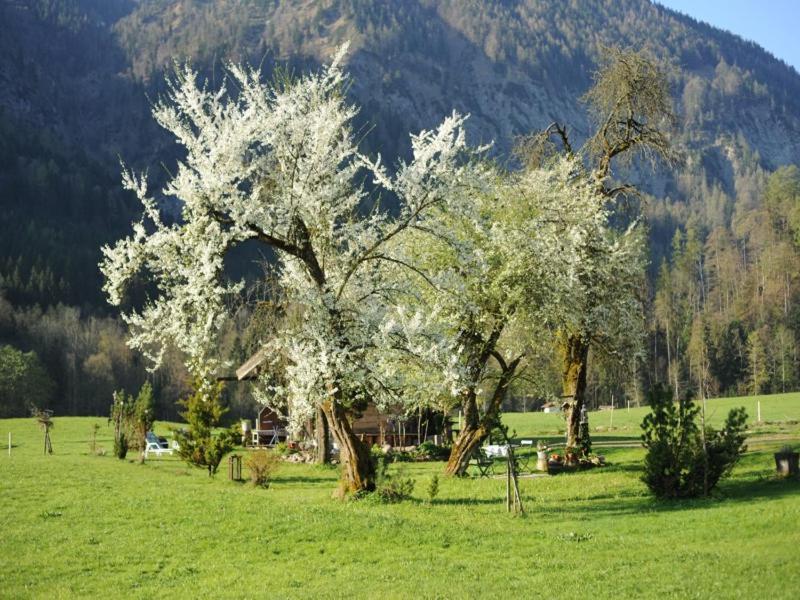 Hansenbauernhof Inkl. Chiemgaukarte Ruhpolding Kültér fotó