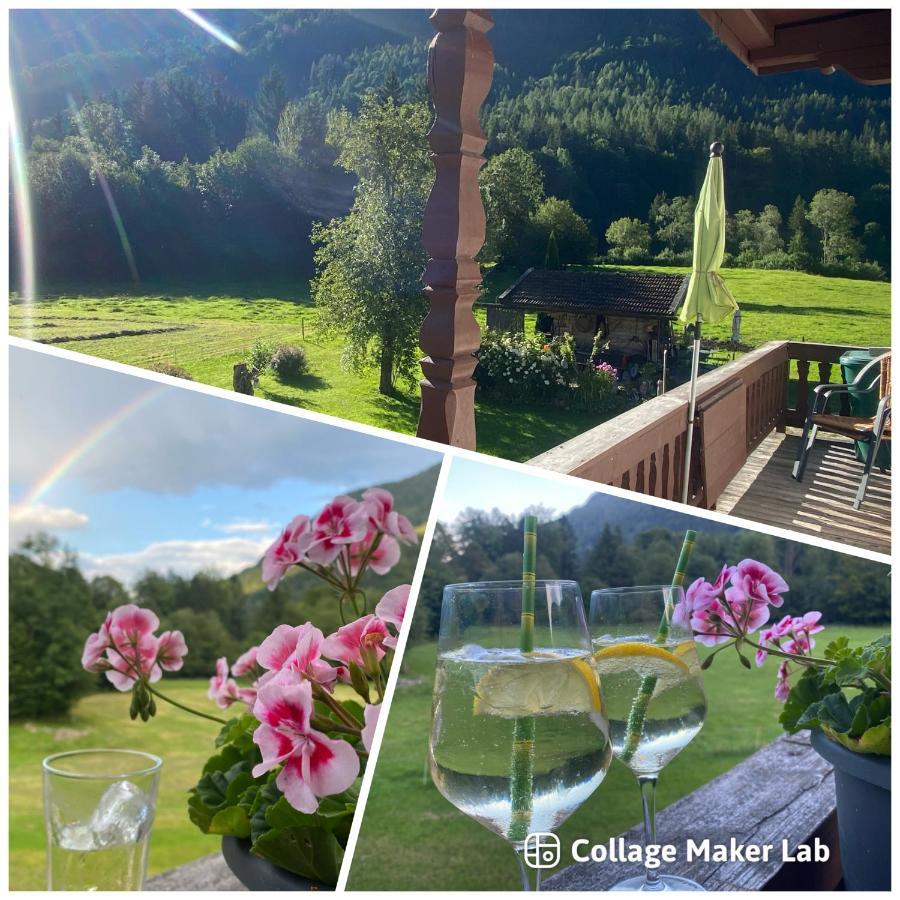 Hansenbauernhof Inkl. Chiemgaukarte Ruhpolding Kültér fotó