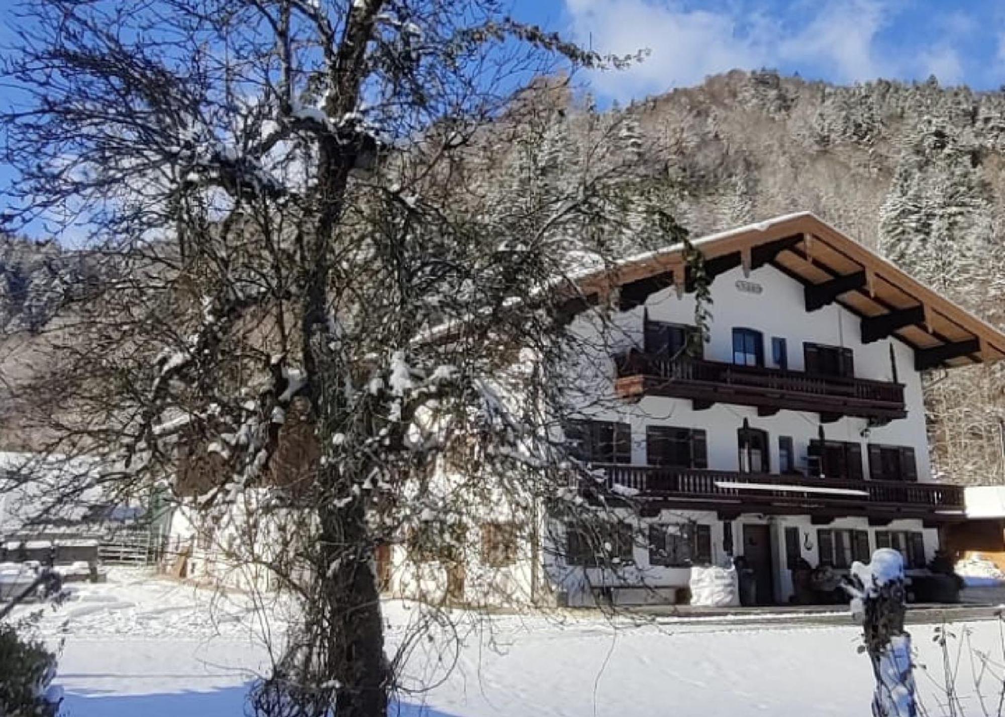 Hansenbauernhof Inkl. Chiemgaukarte Ruhpolding Kültér fotó